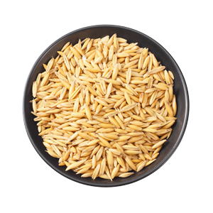 oat groats in bowl