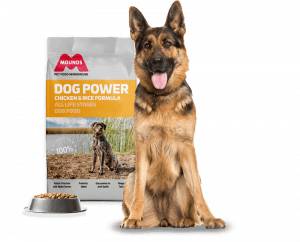 German Shepard with mounds dog power chicken and rice formula food