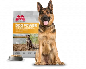 German Shepard with mounds dog power chicken and rice formula food