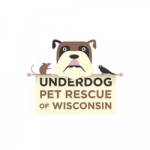 Untitled design - 2024-12-02T142648.251