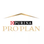 Website Monthly Sales Logo - 2025-01-15T120223.607