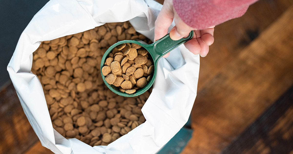 Dry vs. wet dog food